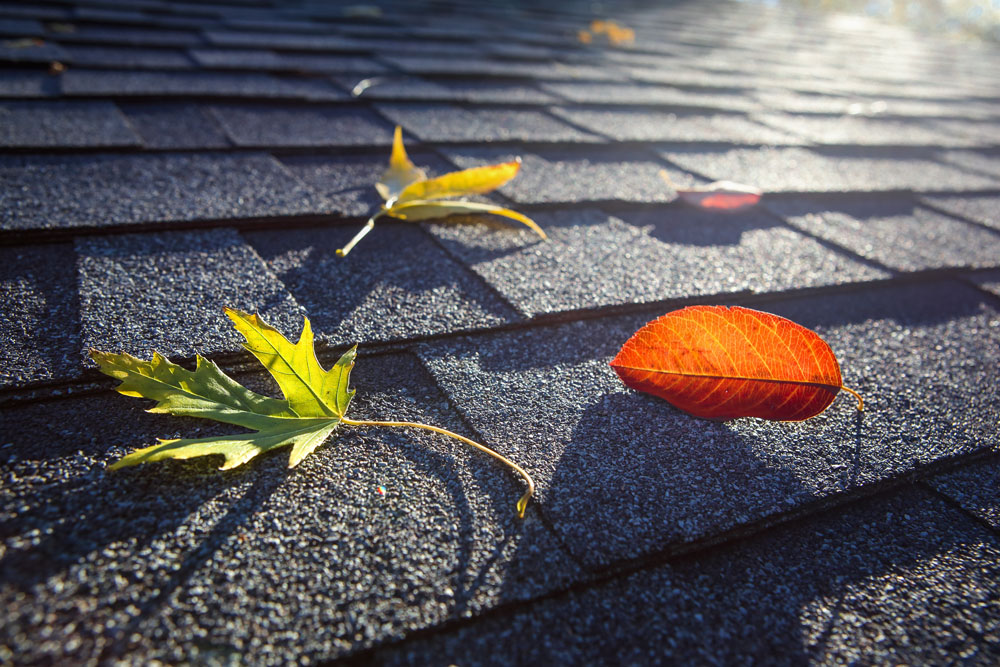 roof washing